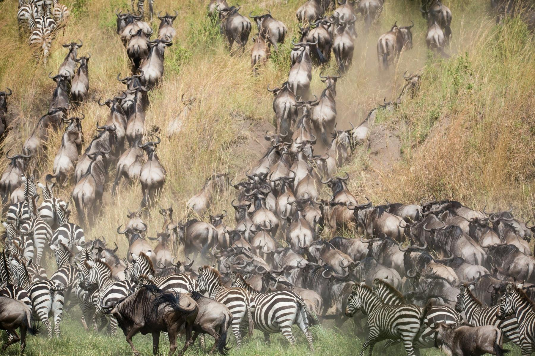 | Overnight at Sala's Camp