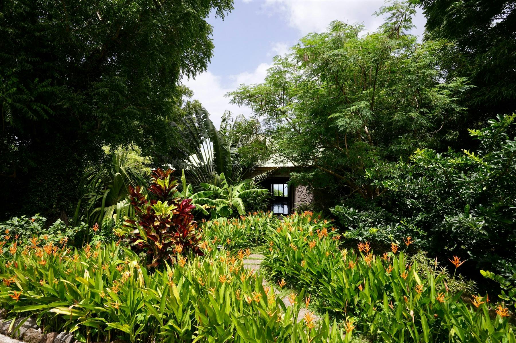 Yoga Path, Jungle Bay, Dominica, Caribbean