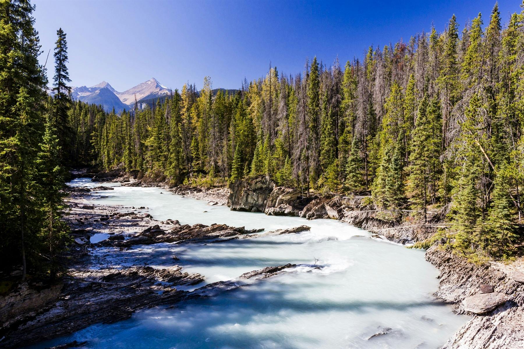 Kelowna - Field (250 miles)