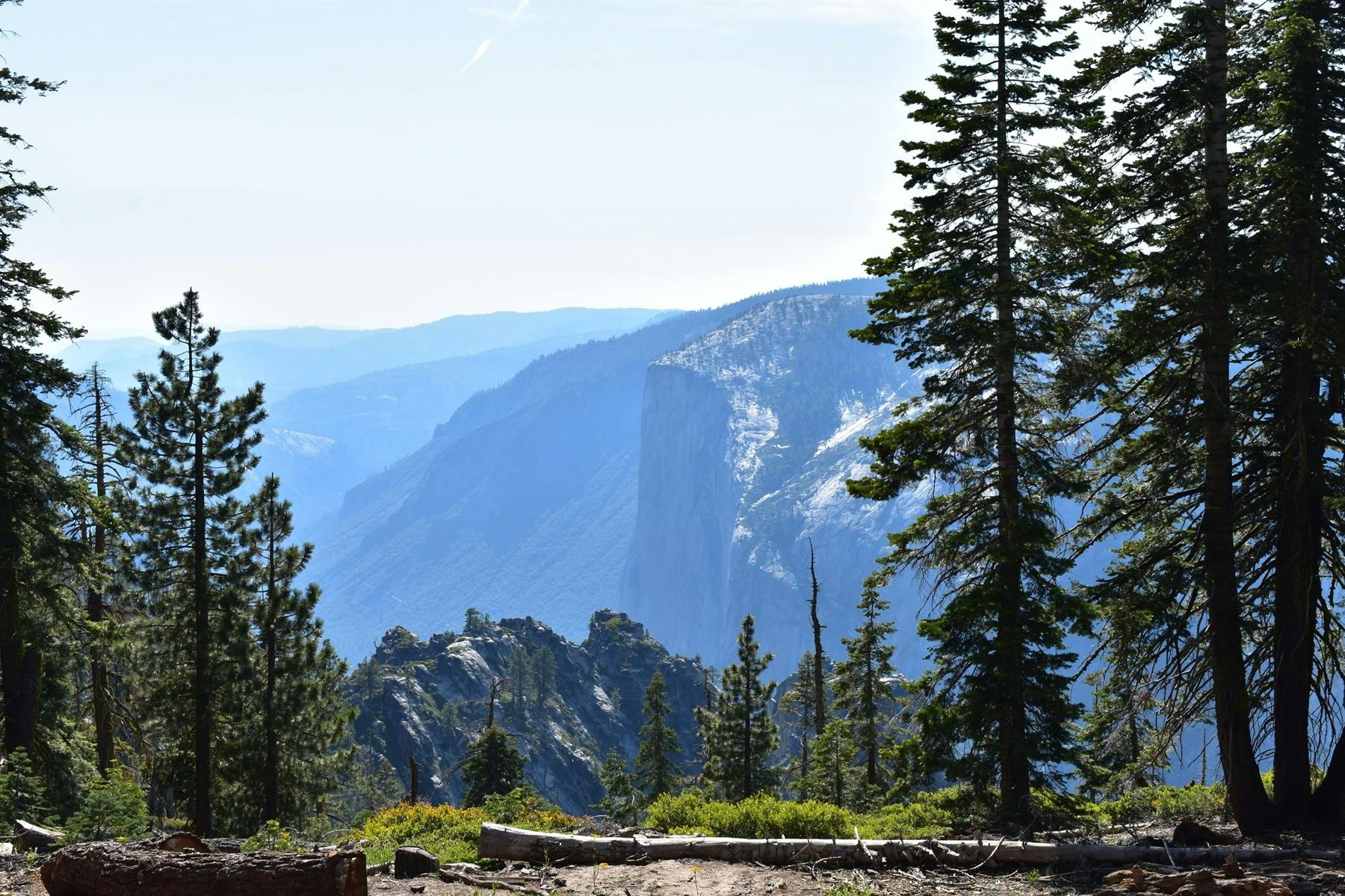 | Yosemite National Park